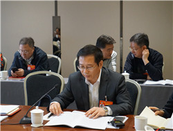 马萧林委员：加强文物保护执法队伍建设
