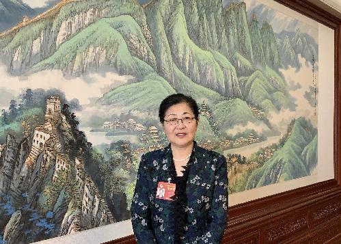 宋纪蓉委员：建议成立历史文化名城名镇保护修复标准制定委员会